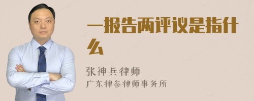 一报告两评议是指什么