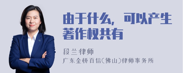 由于什么，可以产生著作权共有