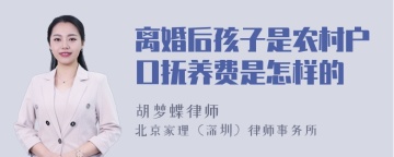 离婚后孩子是农村户口抚养费是怎样的