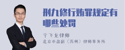 刑九修行贿罪规定有哪些处罚