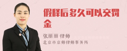 假释后多久可以交罚金