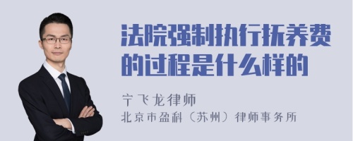 法院强制执行抚养费的过程是什么样的