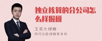 独立核算的分公司怎么样报税