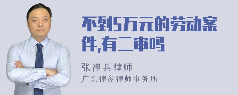 不到5万元的劳动案件,有二审吗