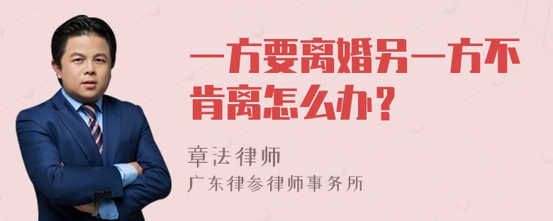 一方要离婚另一方不肯离怎么办？