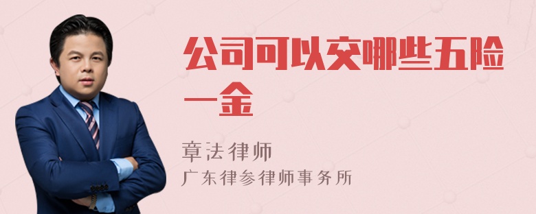 公司可以交哪些五险一金