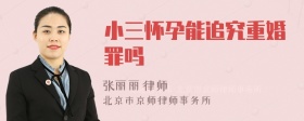 小三怀孕能追究重婚罪吗