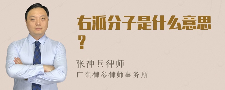 右派分子是什么意思？