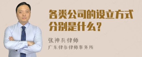 各类公司的设立方式分别是什么？