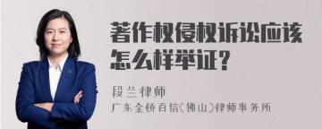 著作权侵权诉讼应该怎么样举证？