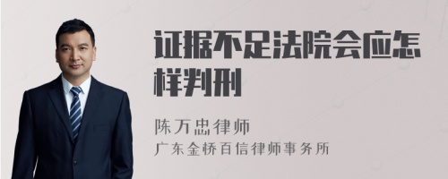 证据不足法院会应怎样判刑