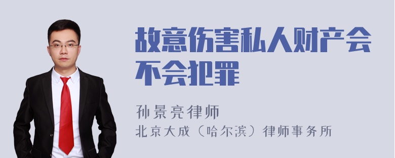 故意伤害私人财产会不会犯罪