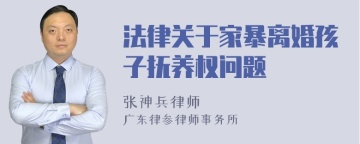 法律关于家暴离婚孩子抚养权问题