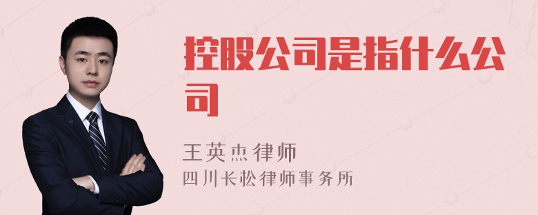 控股公司是指什么公司