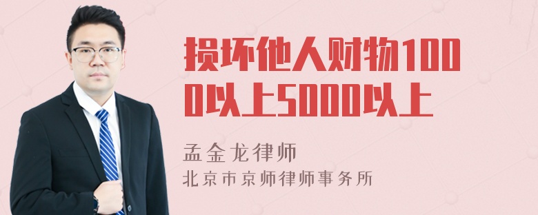 损坏他人财物1000以上5000以上