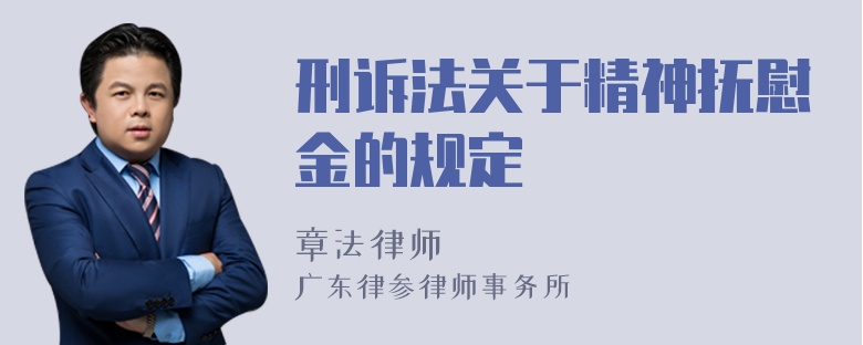 刑诉法关于精神抚慰金的规定