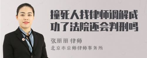 撞死人找律师调解成功了法院还会判刑吗