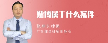 赌博属于什么案件