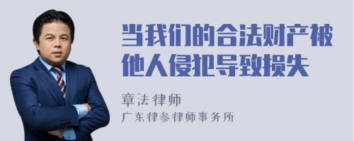 当我们的合法财产被他人侵犯导致损失