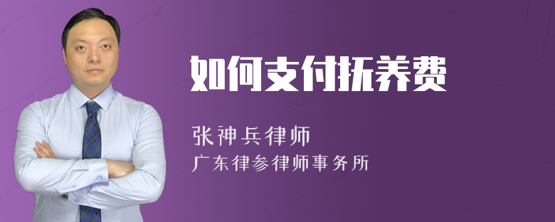 如何支付抚养费