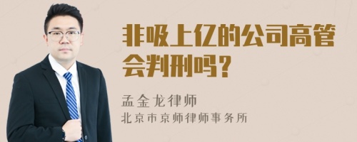 非吸上亿的公司高管会判刑吗？