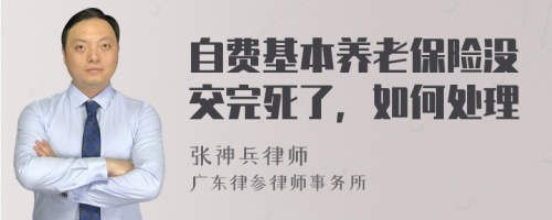 自费基本养老保险没交完死了，如何处理