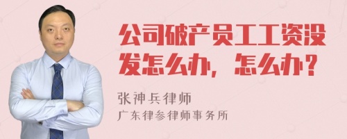 公司破产员工工资没发怎么办，怎么办？