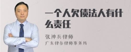 一个人欠债法人有什么责任