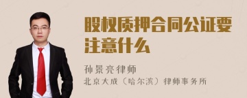 股权质押合同公证要注意什么