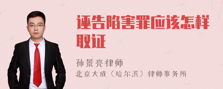 诬告陷害罪应该怎样取证