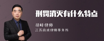 刑罚消灭有什么特点