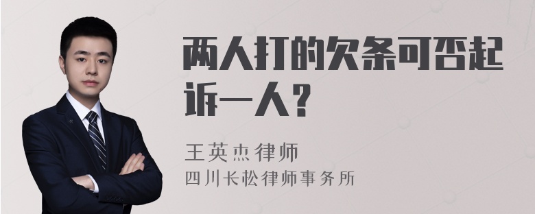 两人打的欠条可否起诉一人？