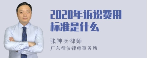 2020年诉讼费用标准是什么