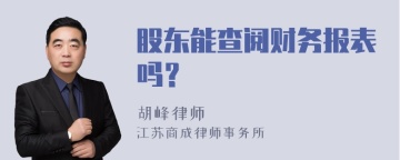 股东能查阅财务报表吗？