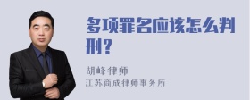 多项罪名应该怎么判刑？