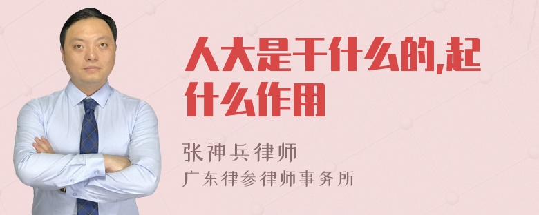 人大是干什么的,起什么作用