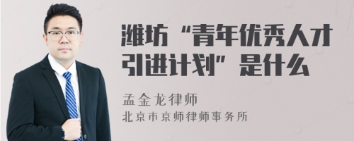 潍坊“青年优秀人才引进计划”是什么