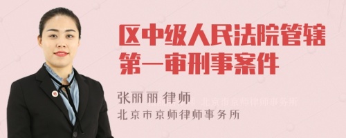 区中级人民法院管辖第一审刑事案件