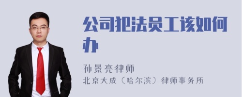 公司犯法员工该如何办