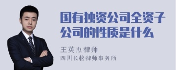 国有独资公司全资子公司的性质是什么