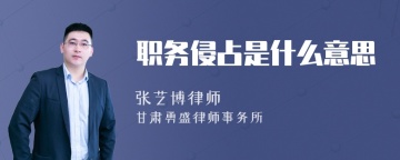 职务侵占是什么意思