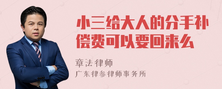 小三给大人的分手补偿费可以要回来么