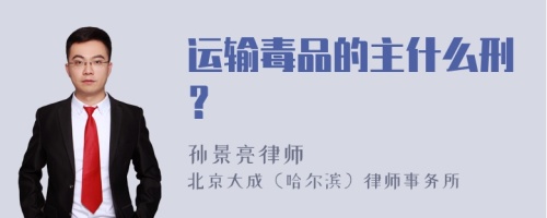 运输毒品的主什么刑？