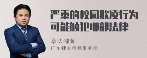 严重的校园欺凌行为可能触犯哪部法律