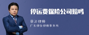 停运费保险公司赔吗