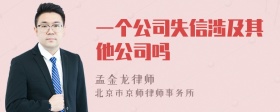 一个公司失信涉及其他公司吗