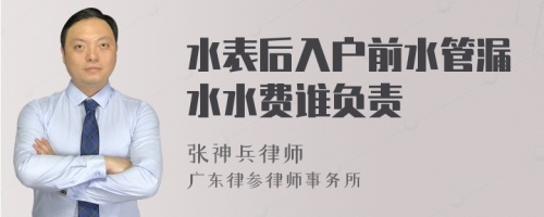 水表后入户前水管漏水水费谁负责