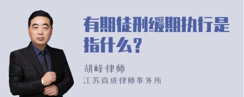 有期徒刑缓期执行是指什么？