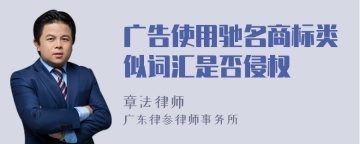 广告使用驰名商标类似词汇是否侵权