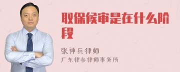 取保候审是在什么阶段